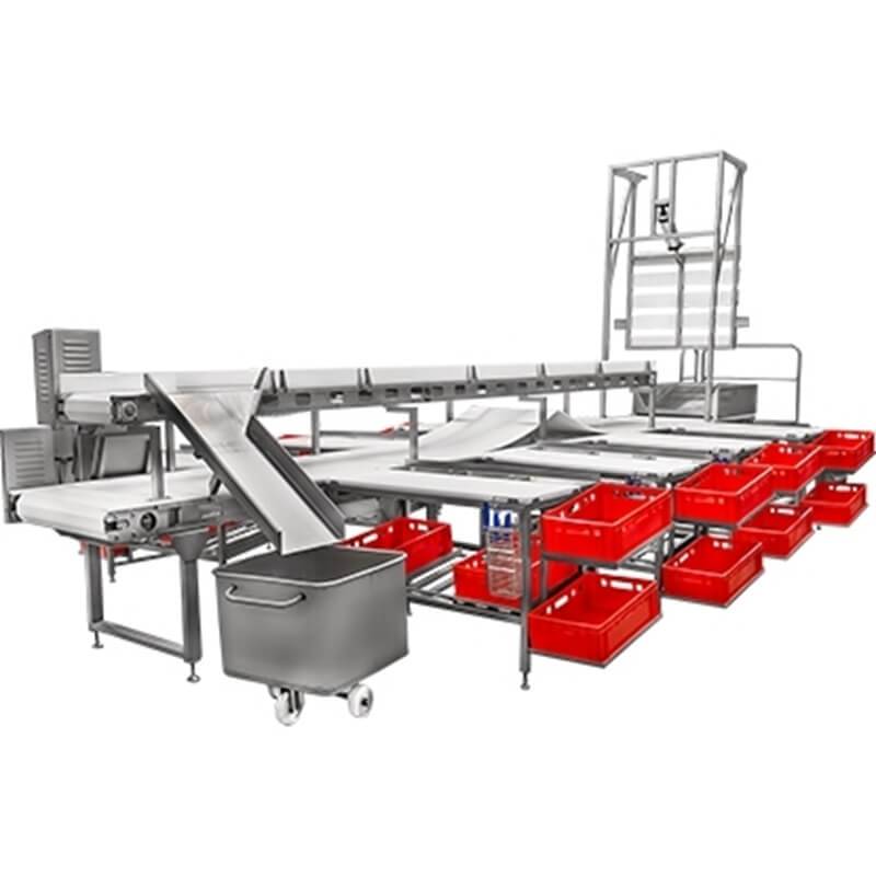 Food processing solutions